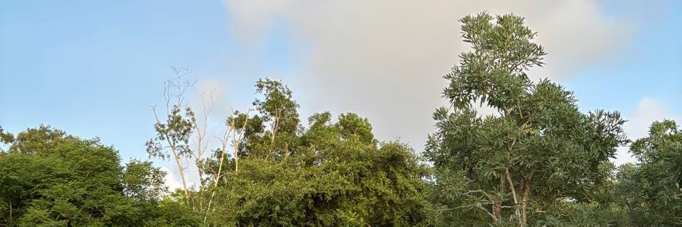 itsreeee_'s profile banner image