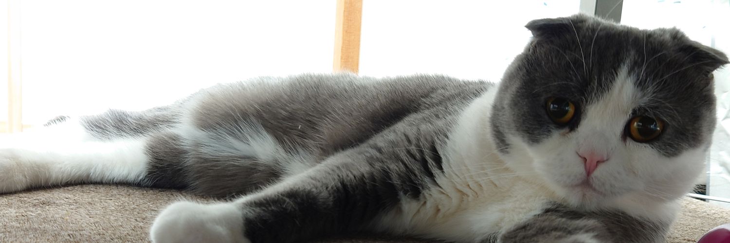 かーちゃん【クリエイティブあーちゃん】 banner