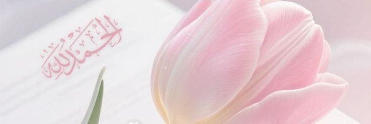 _7_2025's profile banner image