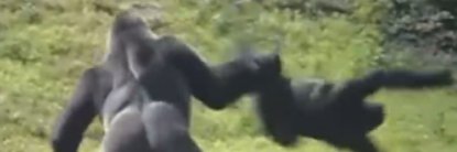 HermieUncle's profile banner image