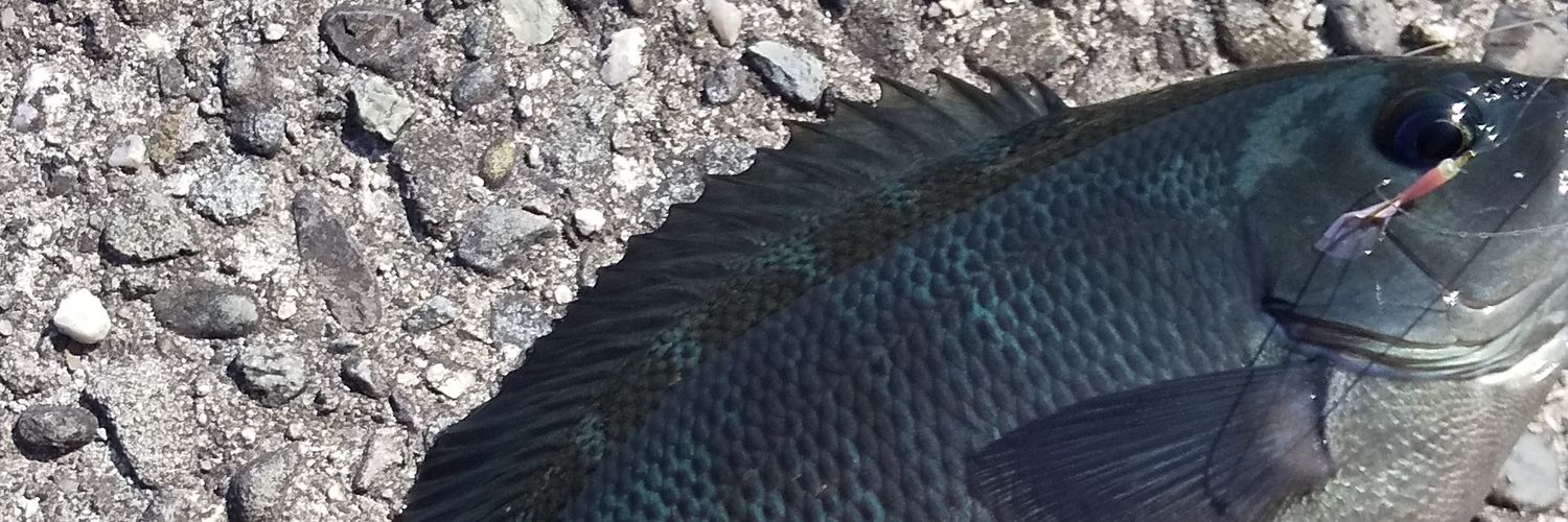 2Shibre's profile banner image