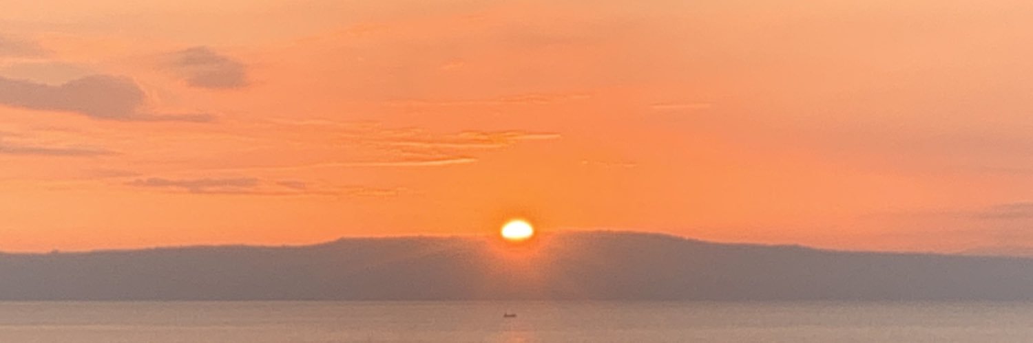 gorgeousfrvs's profile banner image