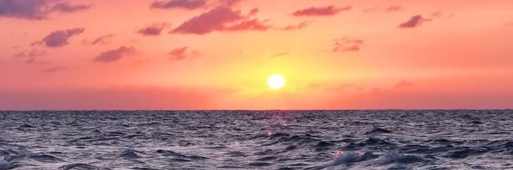 TARAH_LOUX's profile banner image