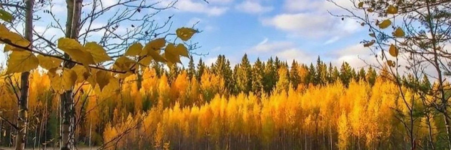 hulyaaaak's profile banner image