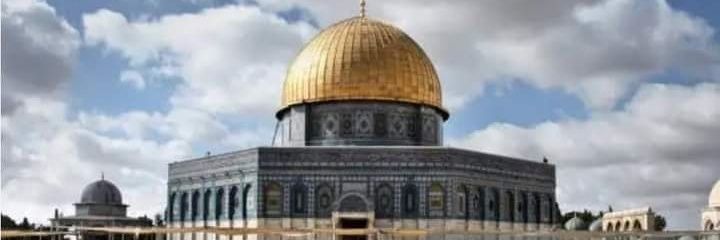 tunio_waris's profile banner image