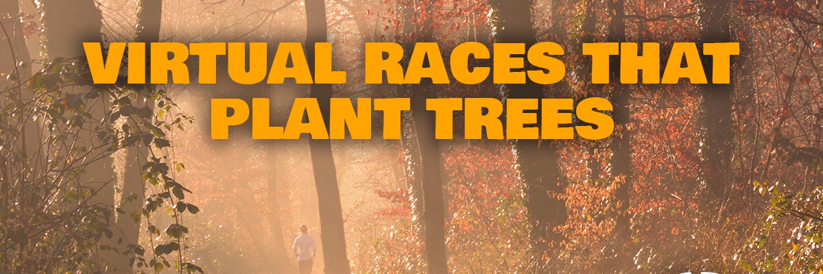 Earthruns4trees's profile banner image