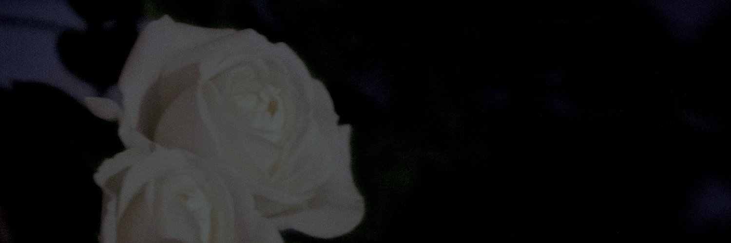 ＤｙIÑ2999 banner