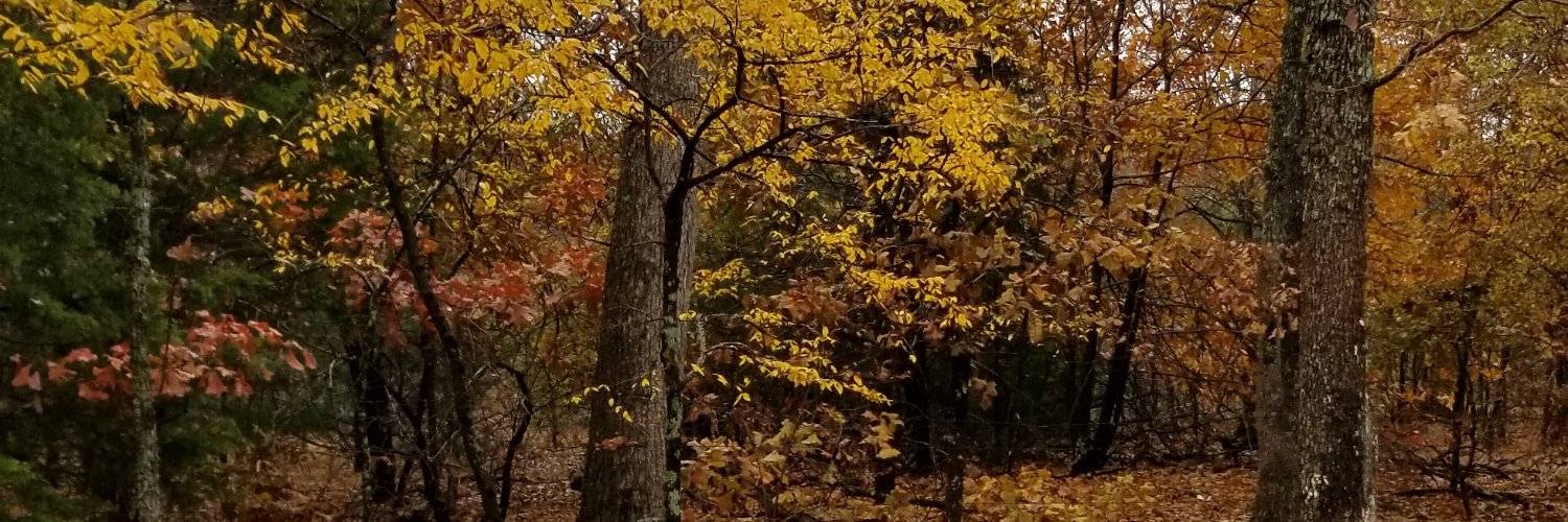 j_deene's profile banner image