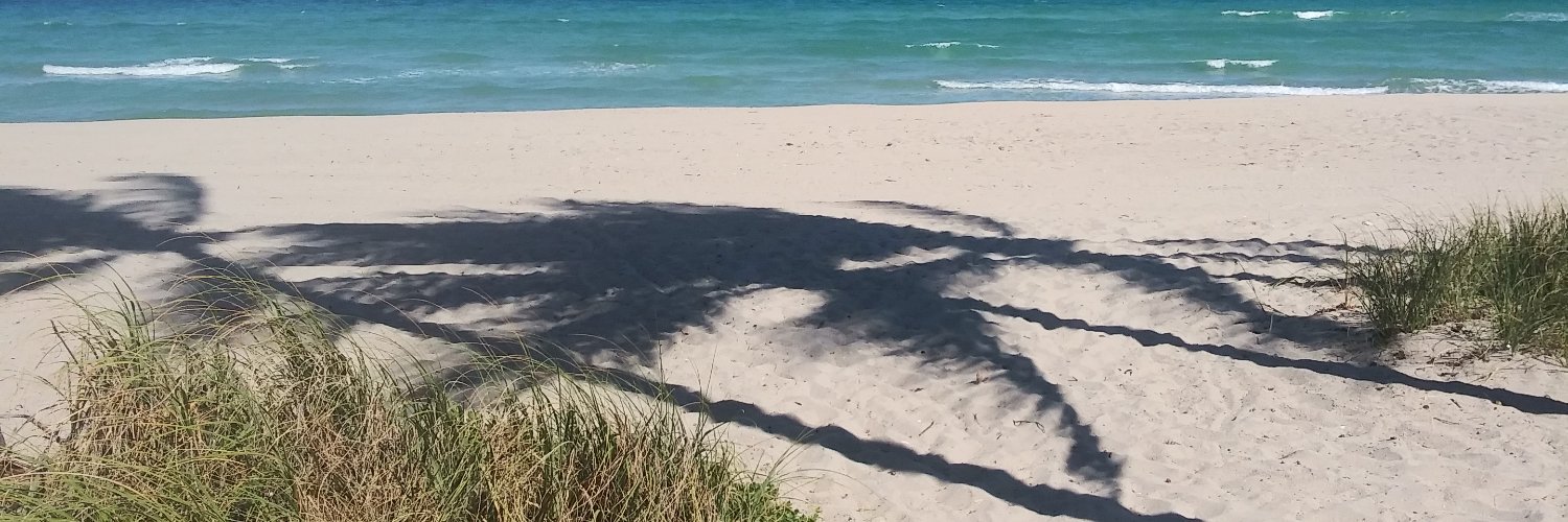 ChisholmSimmons's profile banner image