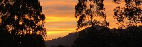 Claudiahm100's profile banner image