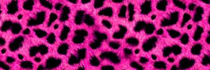pauppitu's profile banner image