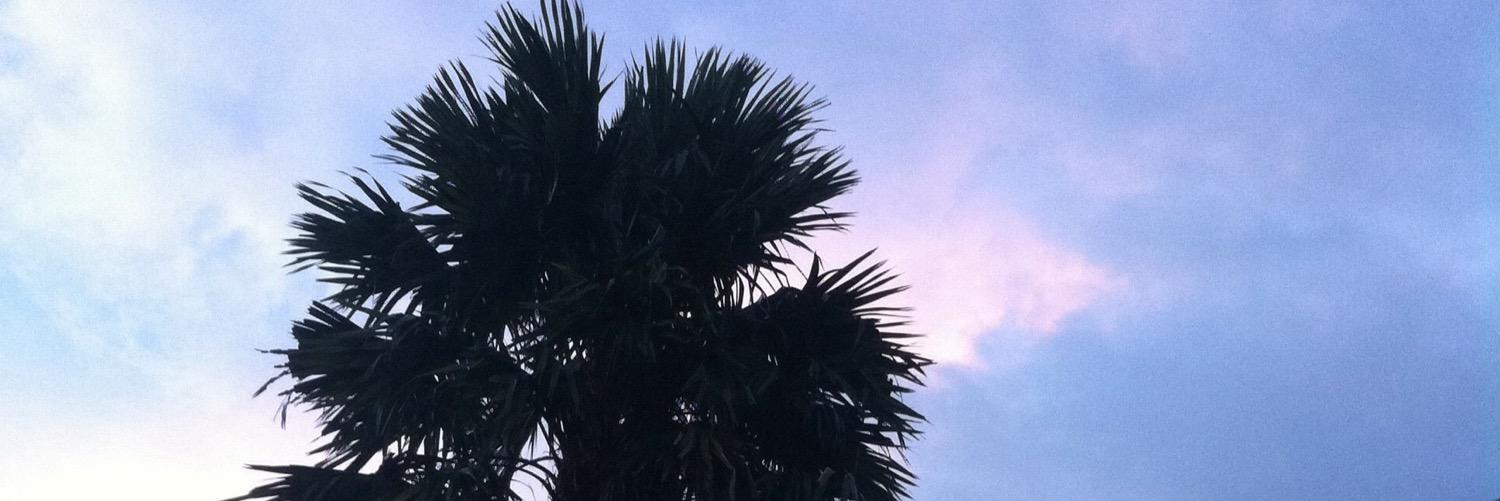 flowerkidlarry's profile banner image