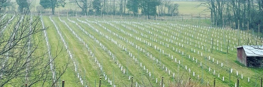 LlcWinery's profile banner image