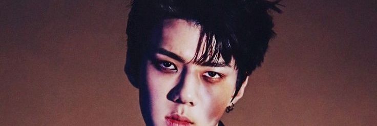 sehunoes's profile banner image