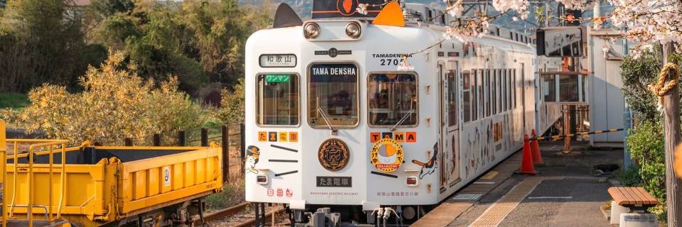 ras_tky's profile banner image