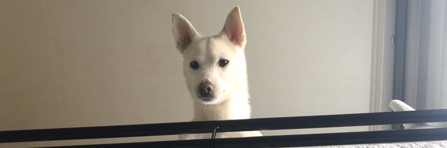 Toong2Yam's profile banner image
