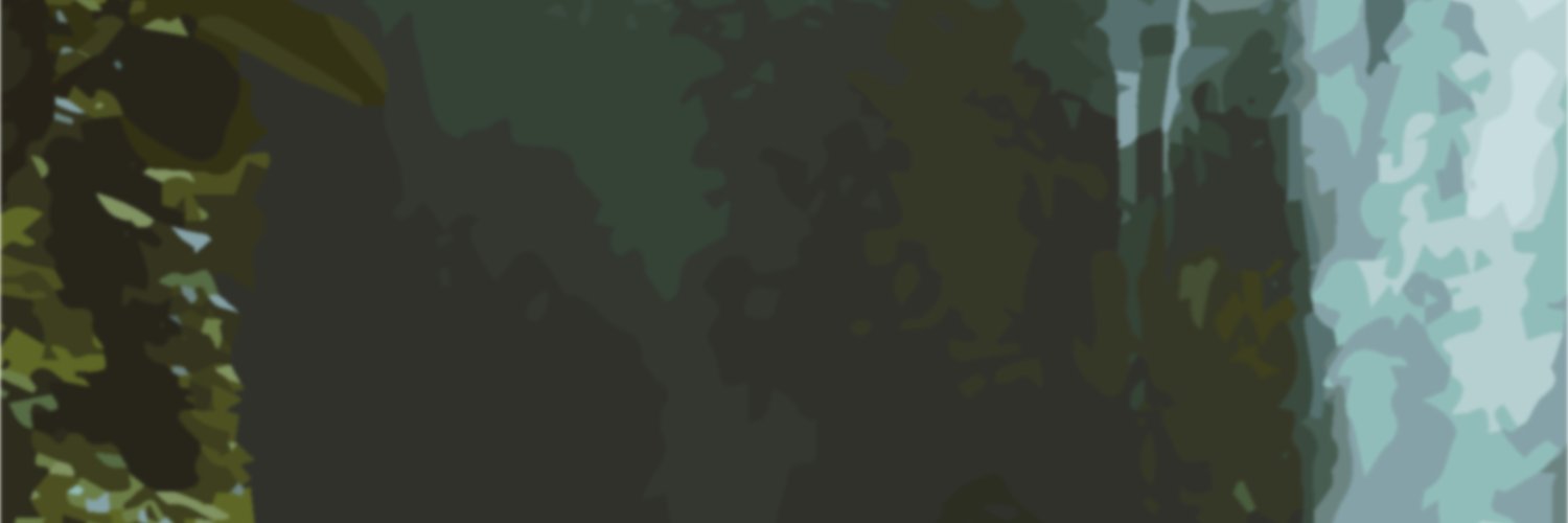 Cockatootulsa's profile banner image