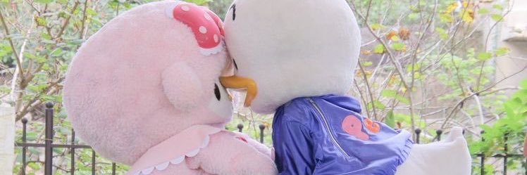 u_xnc's profile banner image