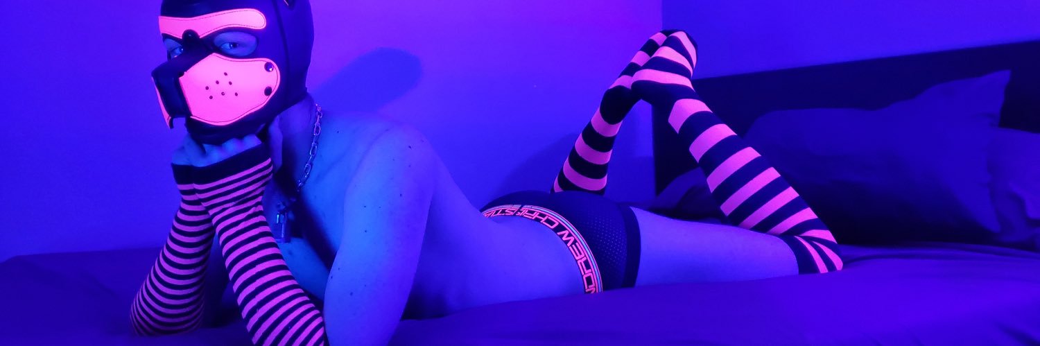 PrincePinkPup's profile banner image