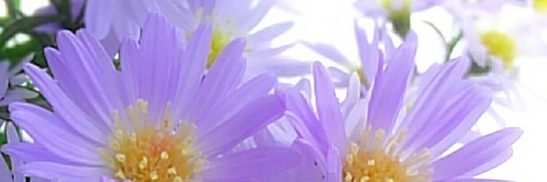 Xx63323086's profile banner image