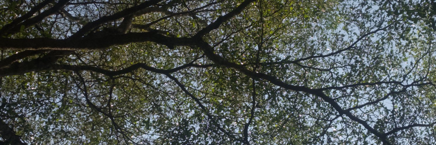 mwythiy28735's profile banner image
