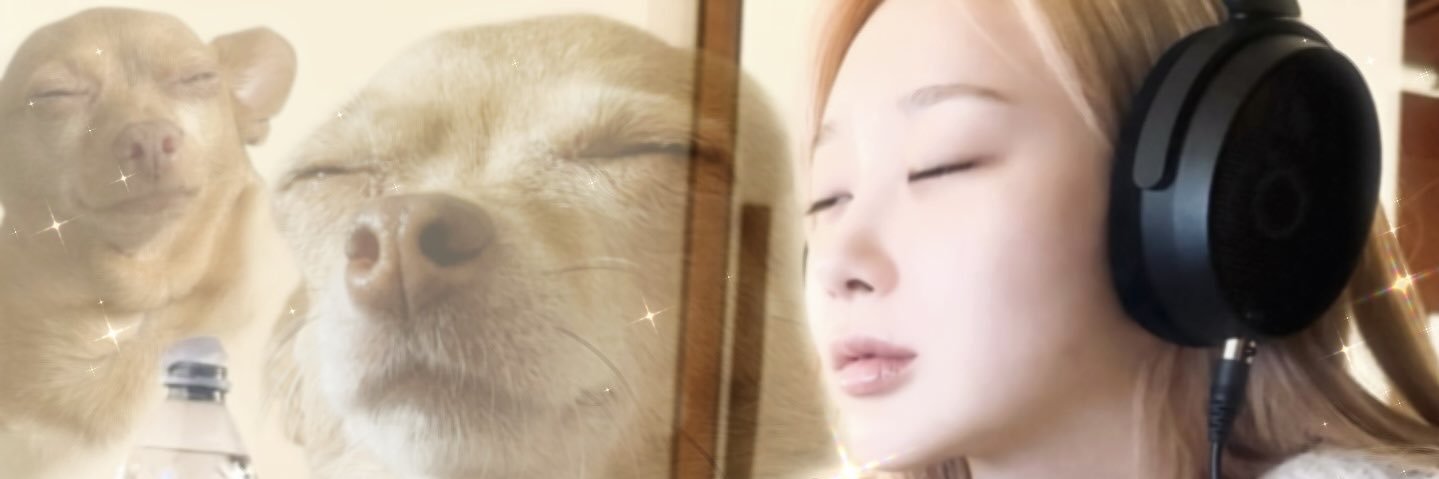 honteuxhe's profile banner image