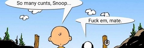 IT'S ALWAYS CAPITALISM banner