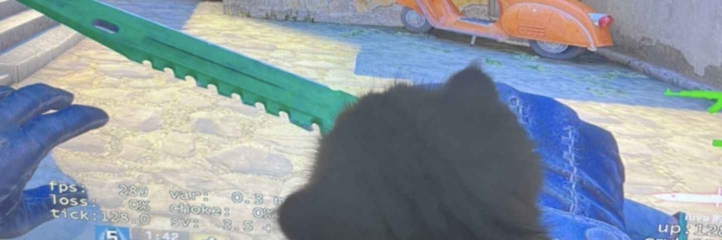 Eric85368985's profile banner image