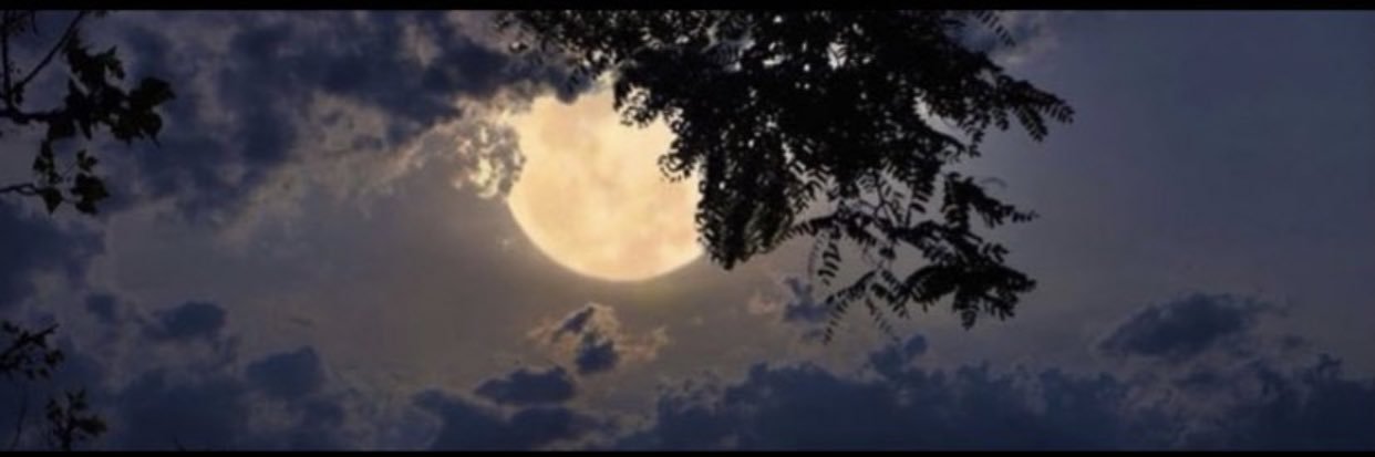 vl7__q8's profile banner image