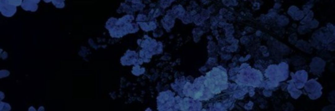 Arciti3's profile banner image