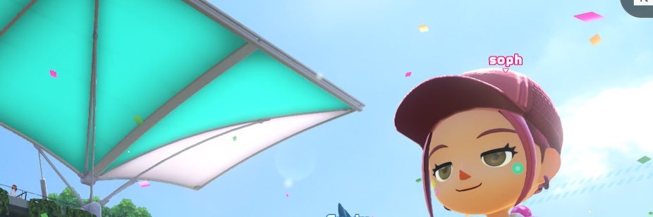 soph banner