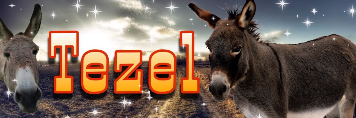 tezelbs's profile banner image