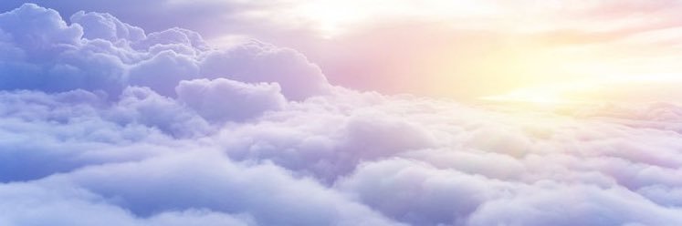 saraarr_'s profile banner image