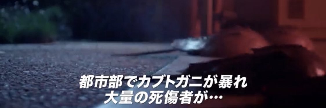 🥑Tippy🌻 banner