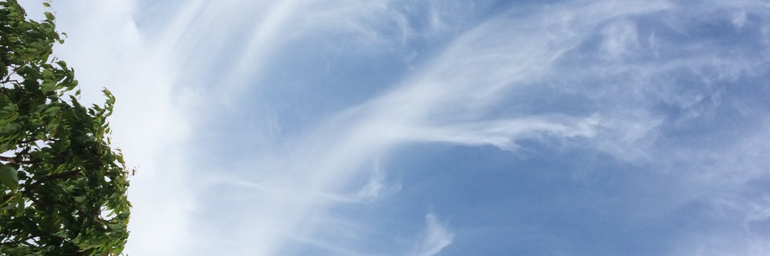 _1101_310's profile banner image