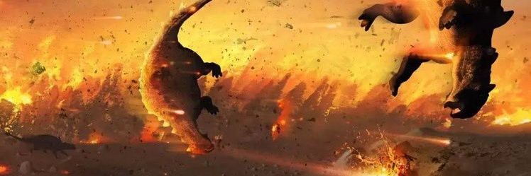 artemsfluffycat's profile banner image