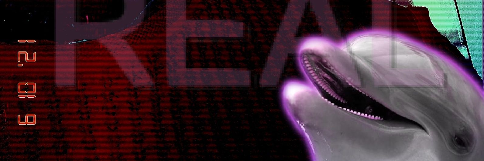 CryptoWildCard banner