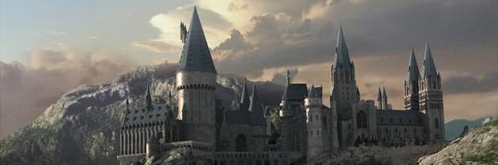 Minerva Mc Gonagall banner