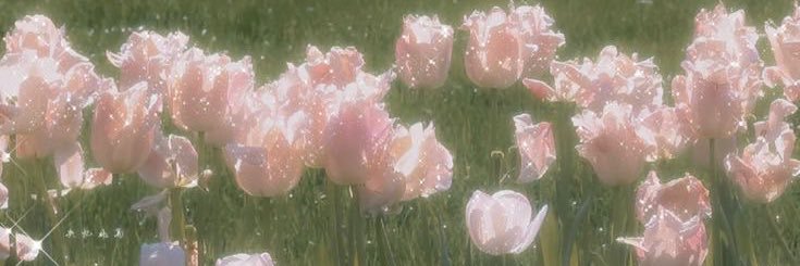 sadeeceireem's profile banner image