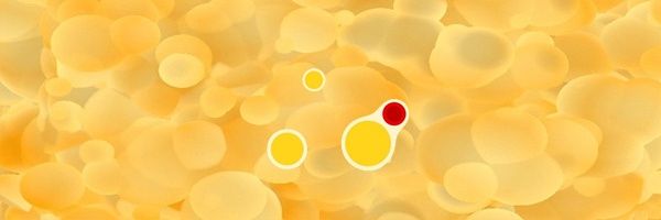 Instituto INIGEM banner