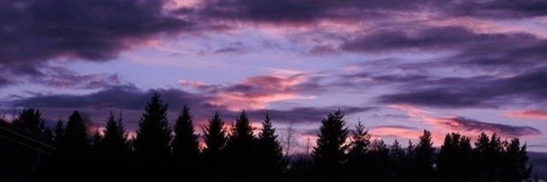LinaAshraf0's profile banner image