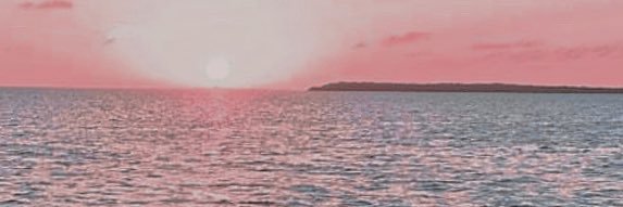 HarboredSecrets's profile banner image