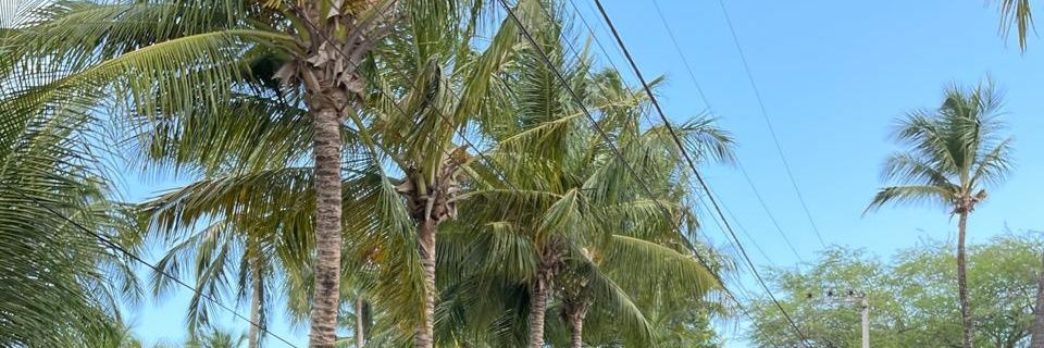 Davyanderson_'s profile banner image