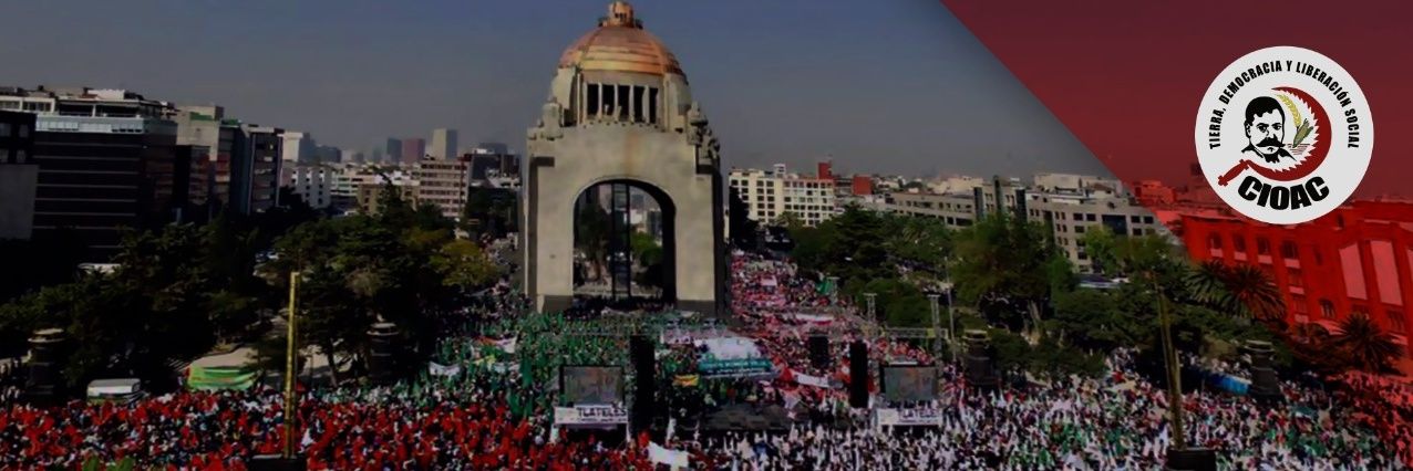Federico Ovalle Vaquera banner