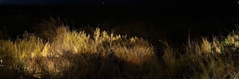 l6cl_'s profile banner image
