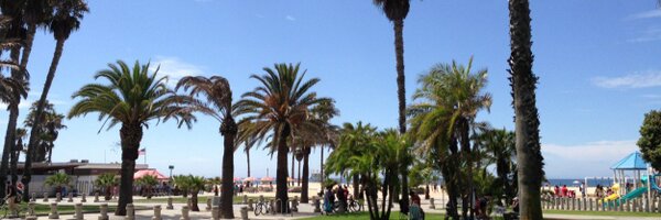 cedric_mcy Profile Banner