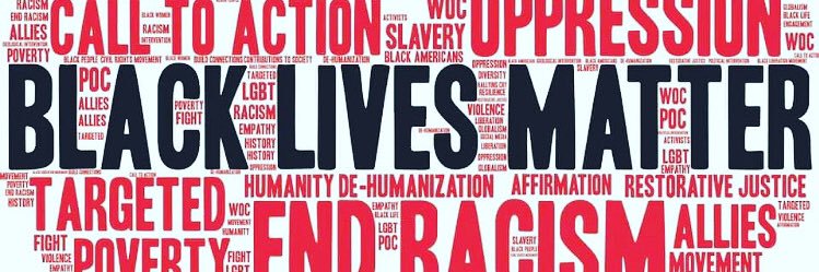 Mara Schanfield banner