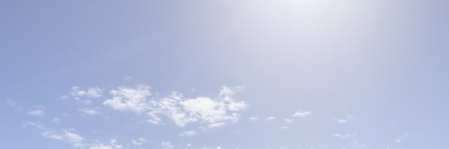 Ari banner