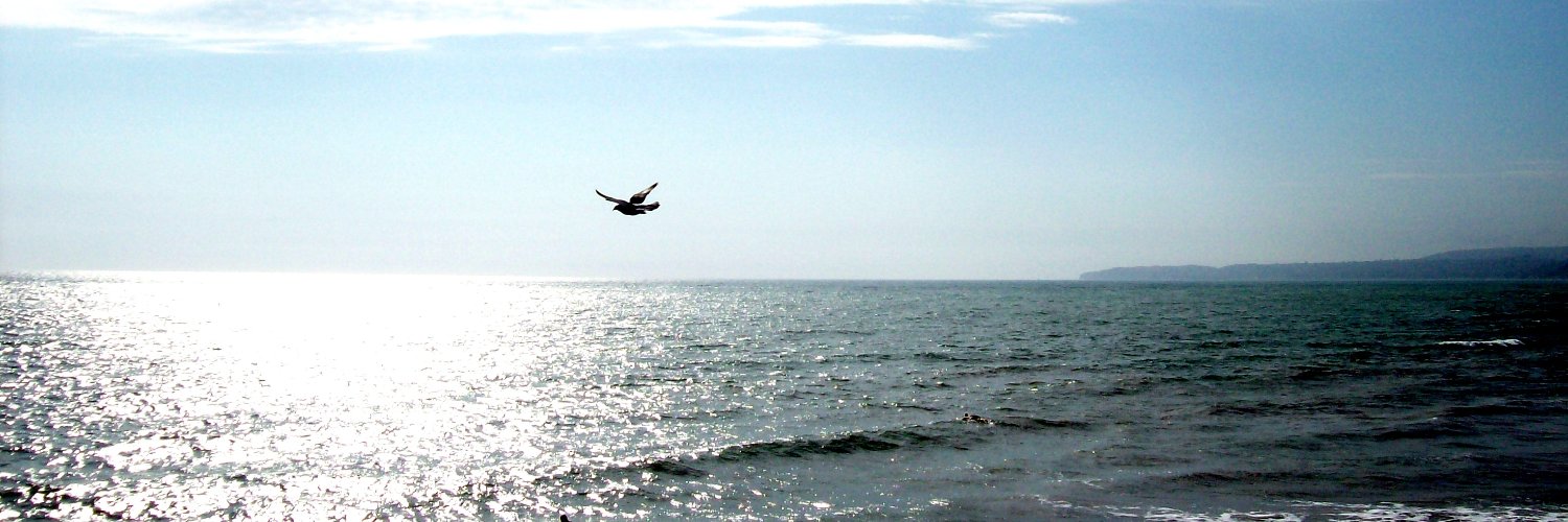 jaymes_harper's profile banner image