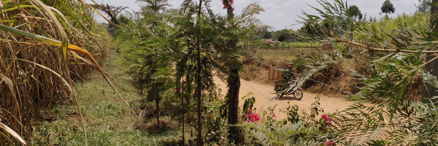 Cathy Cole Ltd banner